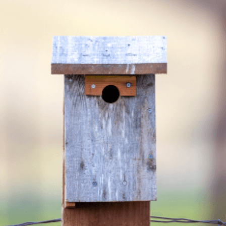 전입신고 인터넷 신고 방법