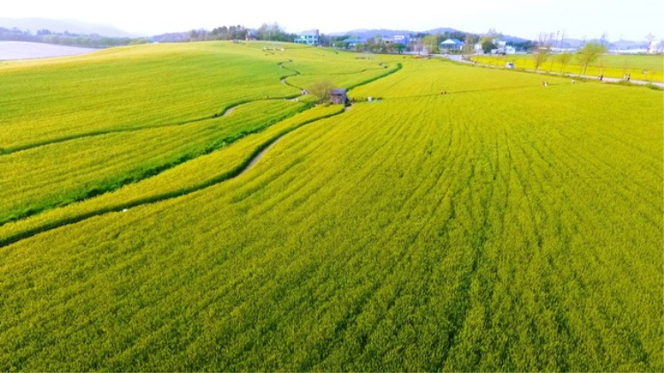 보리나라 학원농장