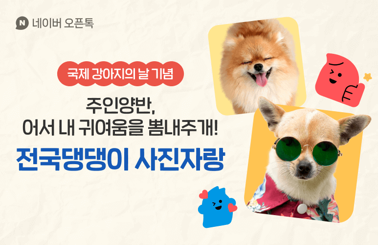 네이버-댕댕이자랑-오픈톡방