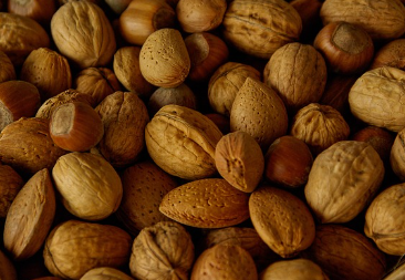 단백질의 중요성과 근육 유지 전략