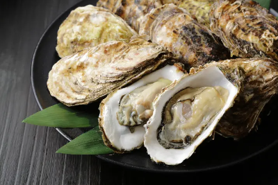 oyster