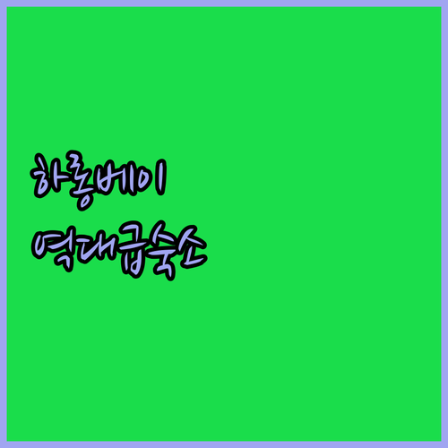 에메랄드빛 바다 위 5성급 튤립 크루..