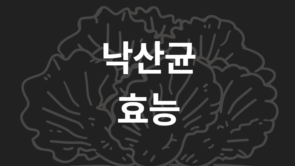 낙산균 효능부터 프로바이오틱스, 포스트바이오틱스까지 총정리 (장 건강 필수 가이드)