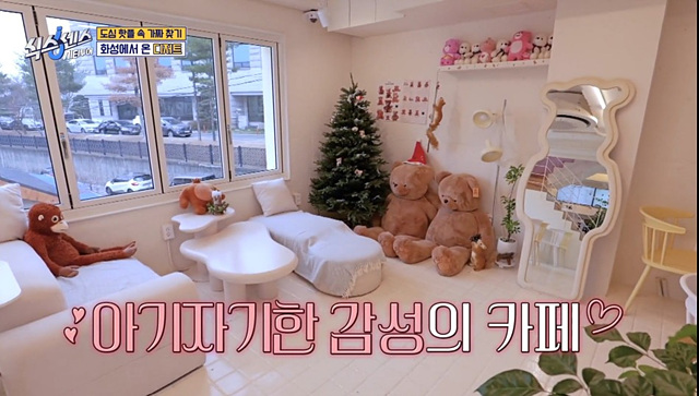 식스센스 수원 2회 맛집 정보 김치폭탄통닭 파르페 냉면꼬치 디믈리에 도토리캐리커쳐 여행