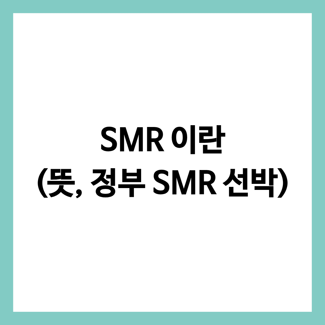 SMR 이란, 뜻, 정부 SMR 선박에 대해 정리한 글의 썸네일
