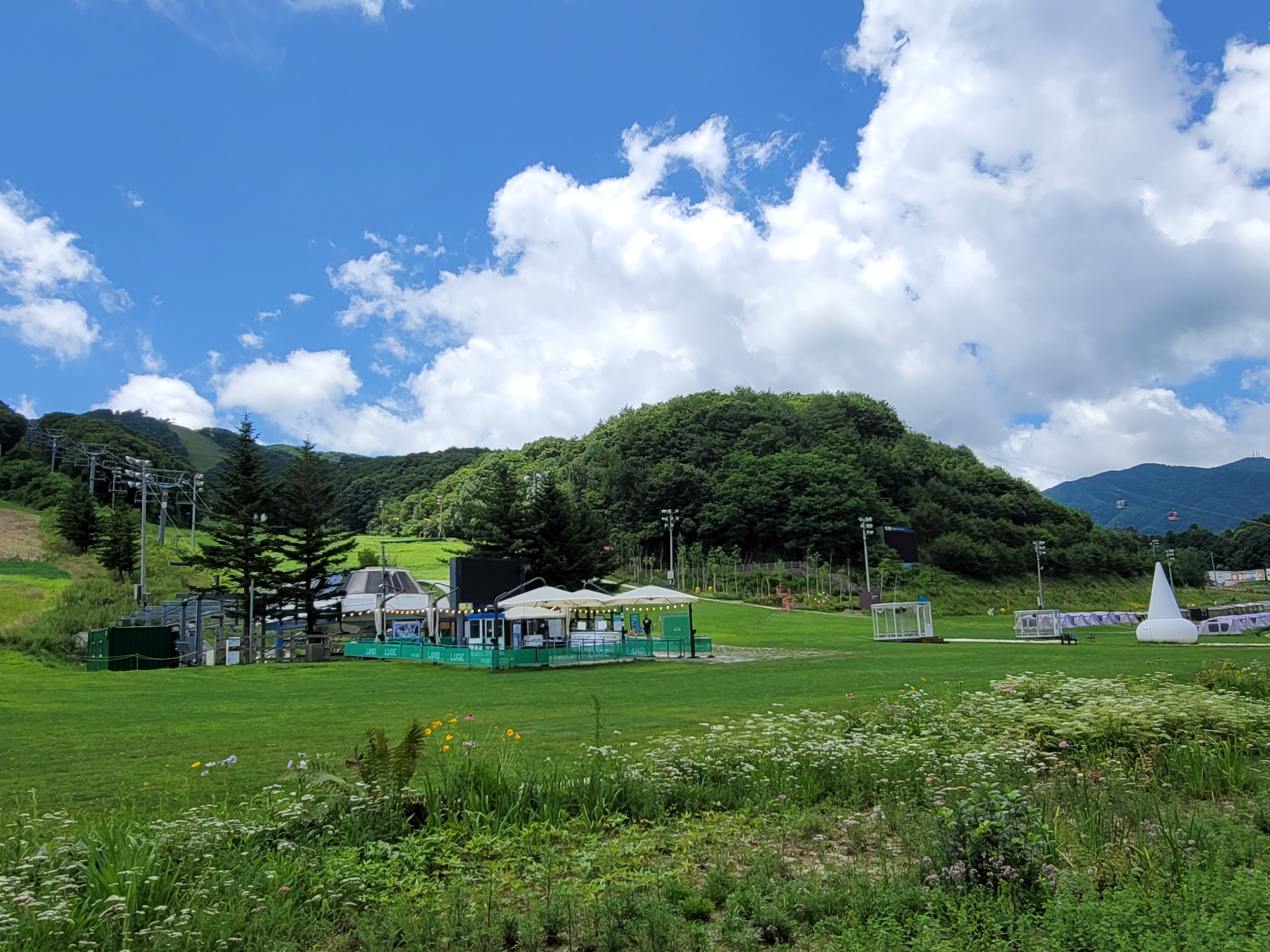 휘닉스 평창 블루캐니언