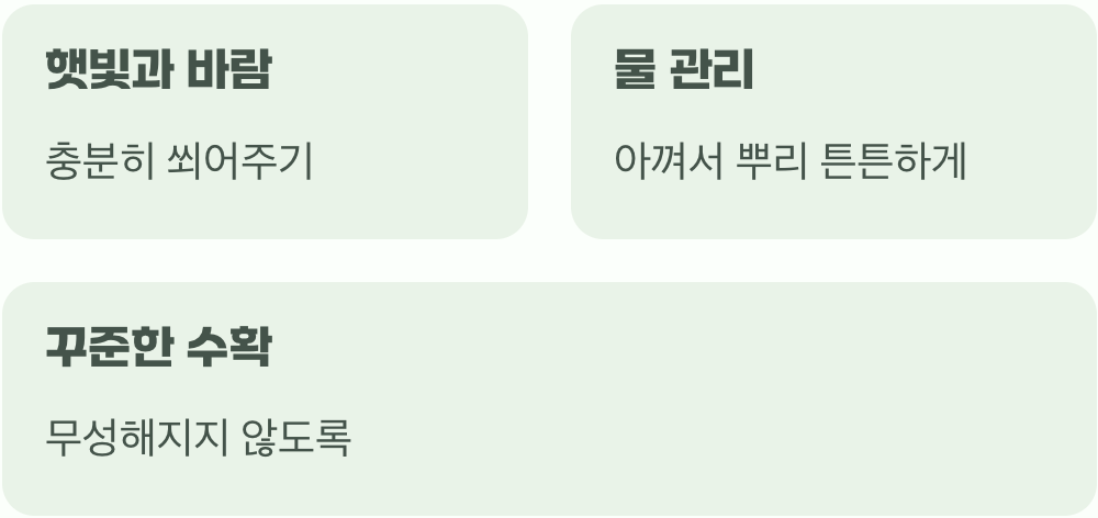 그래서&amp;#44; 진딧물 없는 텃밭의 핵심은?