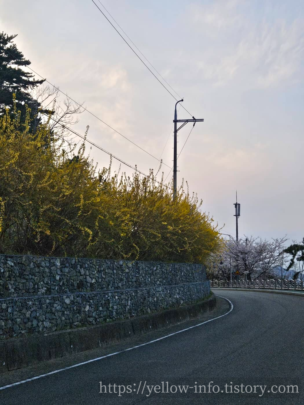 장승포 해안일주도로