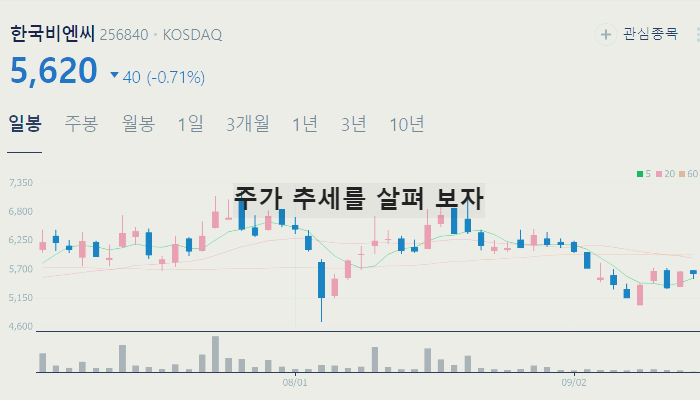 대마 마리화나 관련주 TOP7