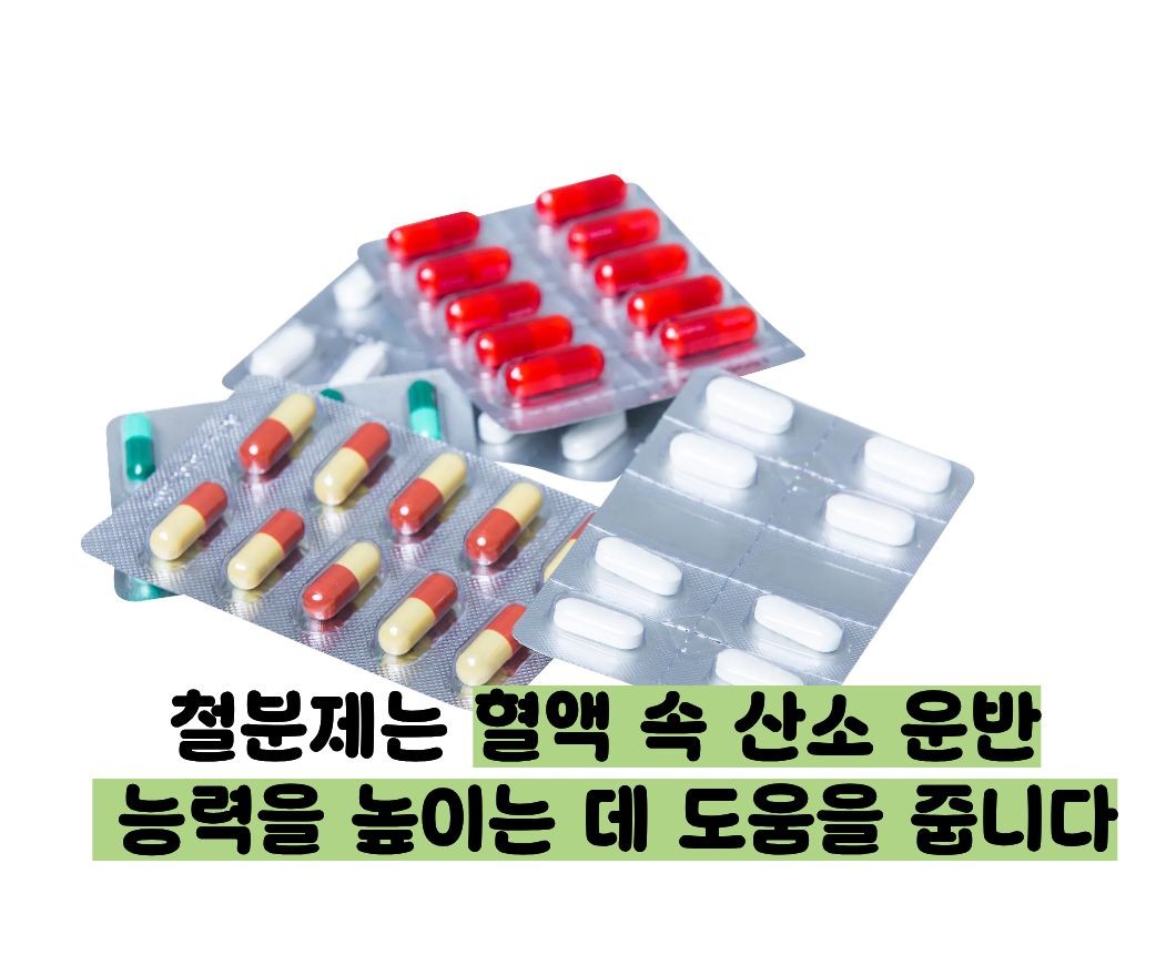 철분제 효능