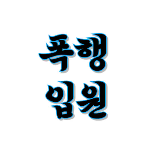 폭행 입원