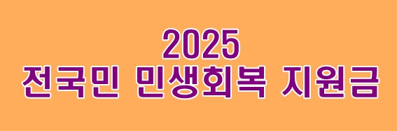 2025 전국민 민생회복 소비쿠폰