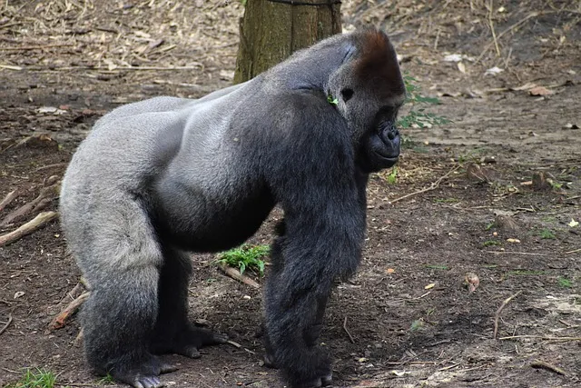 2025그랜저 가격표 그랜저 LPG 신차 가격에 대한 구매가이드_3