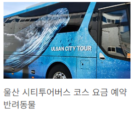 울산시티버스