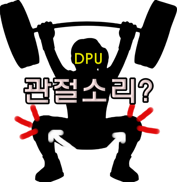 운동 중 관절 소리 및 통증