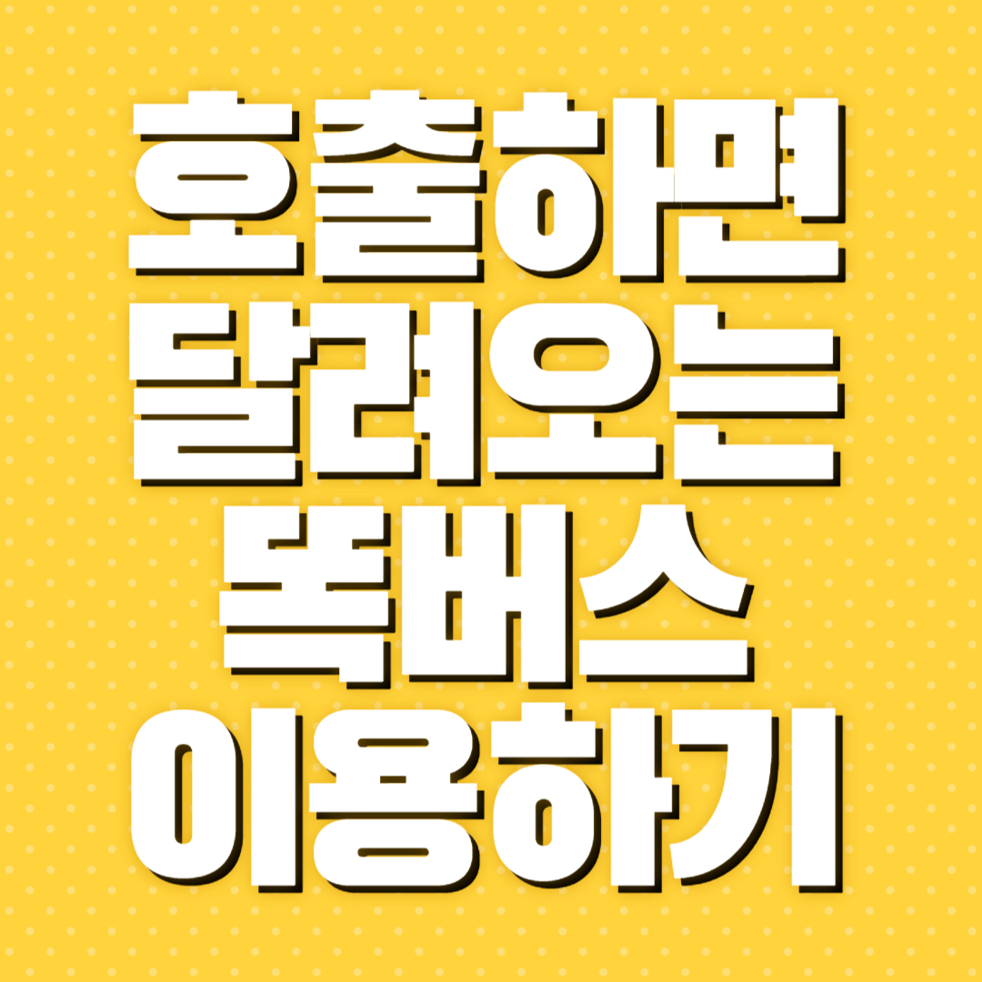 똑버스 똑타앱
