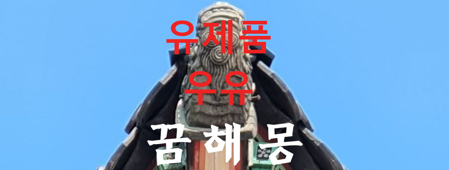꿈해몽