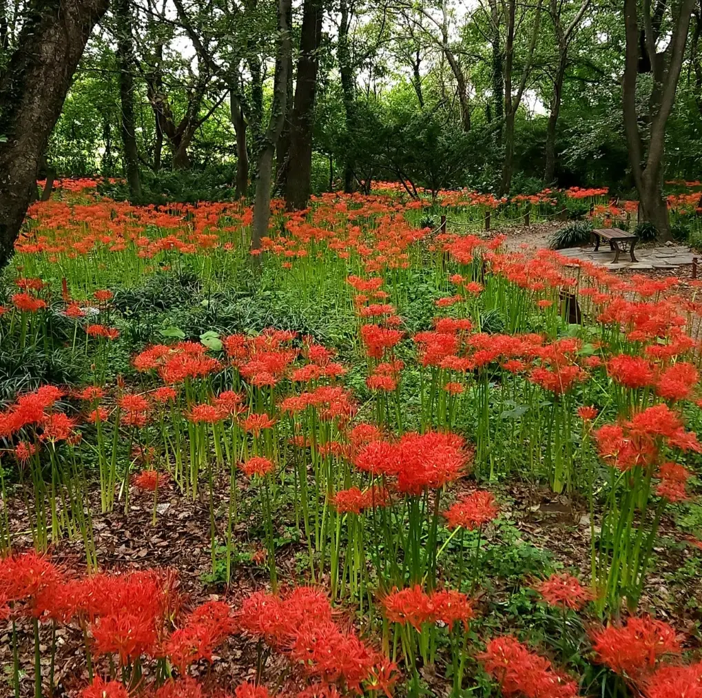 기청산식물원-입장료-무료입장-운영시간