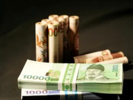 민생회복 소비쿠폰