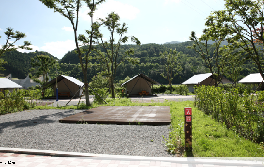 순천 주암오토캠핑장