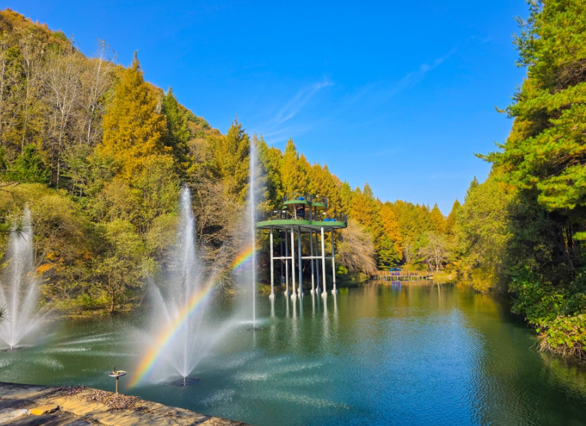 청주 미동산수목원 단풍명소 (가을여행, 포토존, 자연힐링)