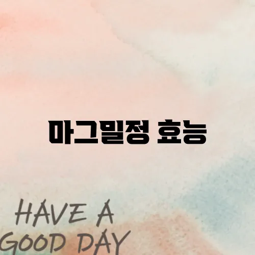 마그밀정 효능