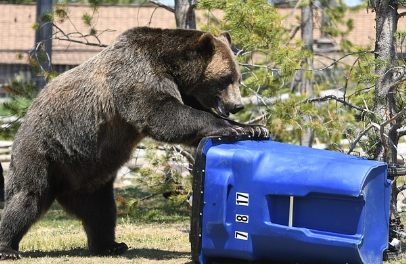 청주 대형폐기물 스티커 인터넷발급