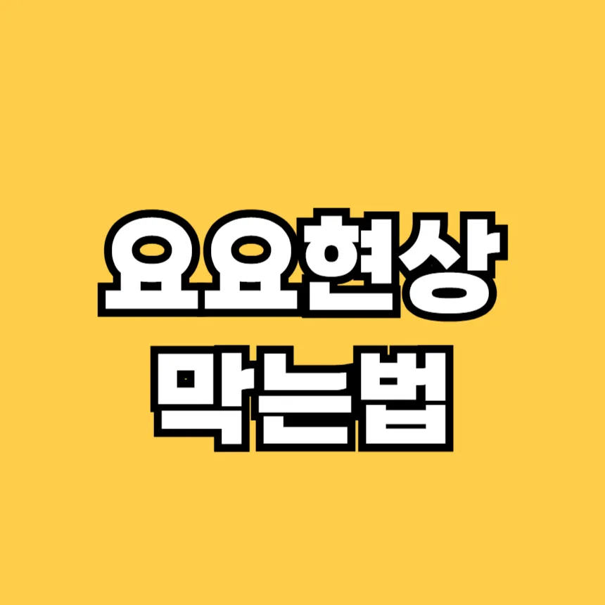 요요현상 막는 법
