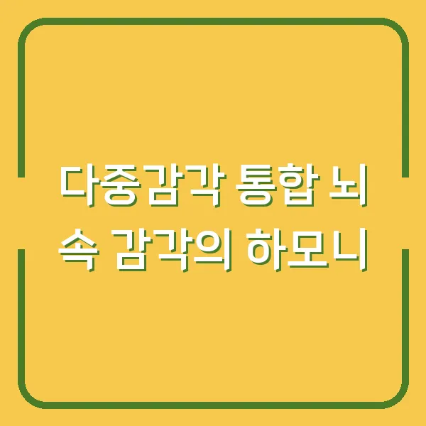 다중감각 통합 뇌 속 감각의 하모니