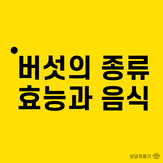 버섯의 종류 효능과 음식_썸네일