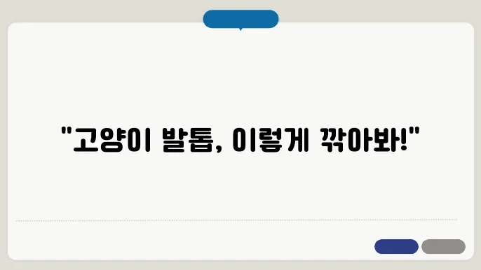 고양이 발톱 깎기 쉽고 안전하게 하는 방법 & 추천템 BEST 5