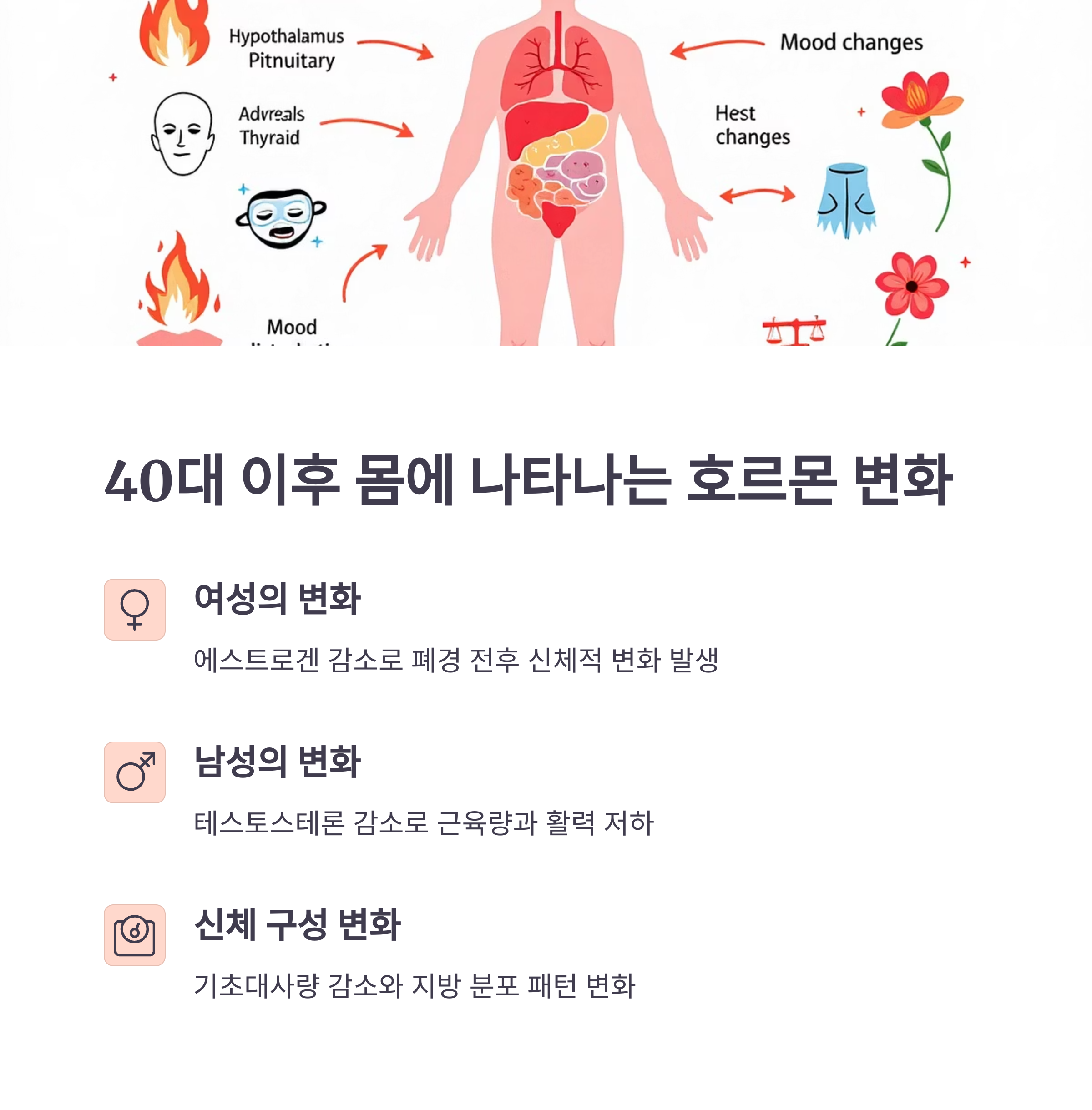 40대 이후 호르몬 변화, 음식만 바꿔도 달라집니다