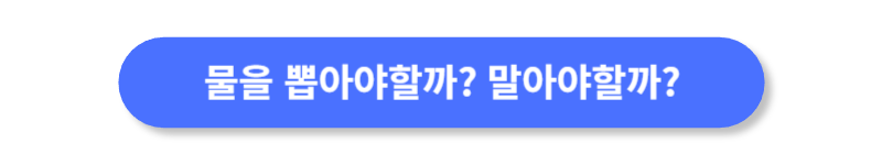 버튼