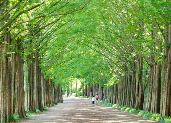 러브버그퇴치법10