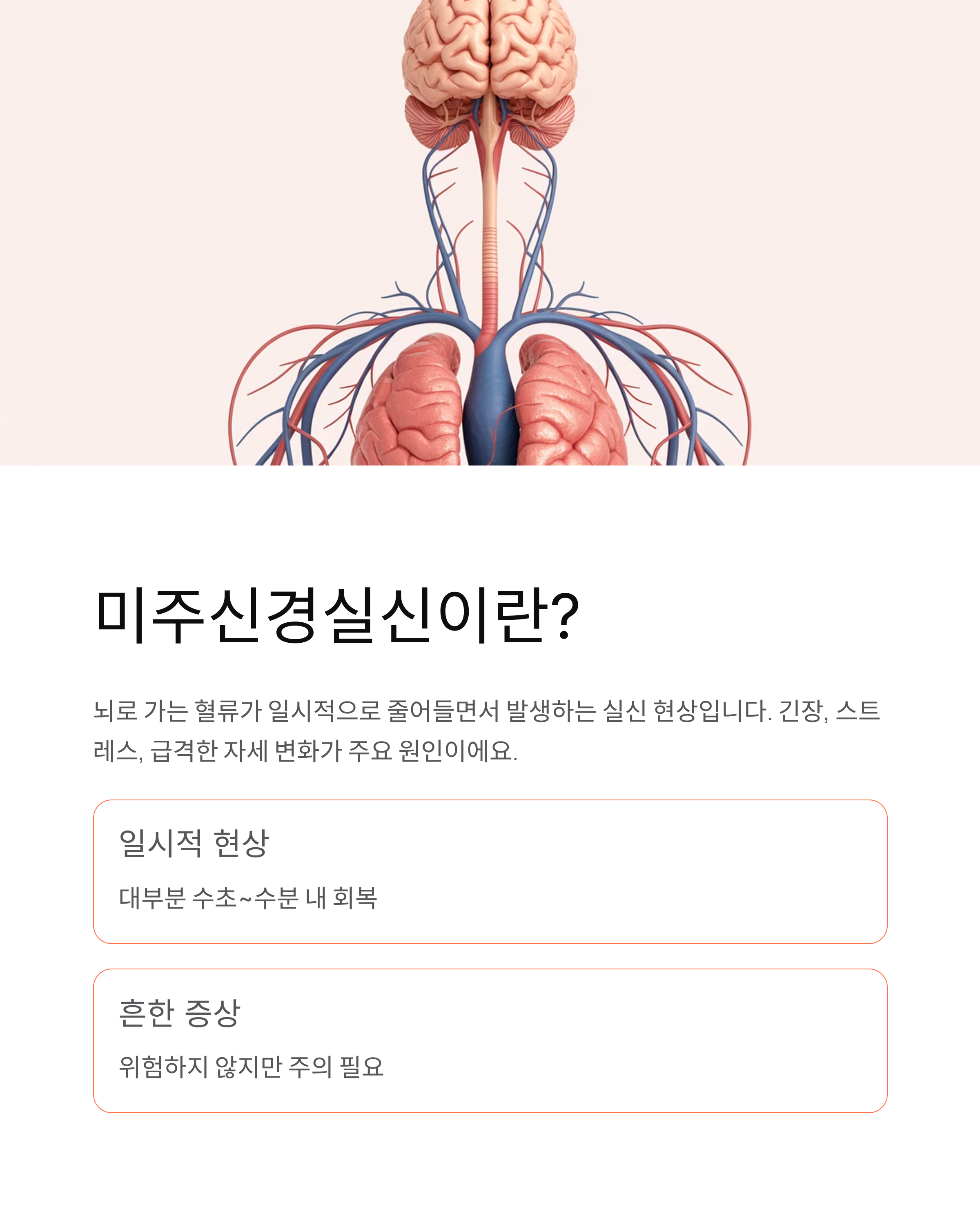 미주신경실신 완벽 가이드|증상 치료 예방 핵심정리!