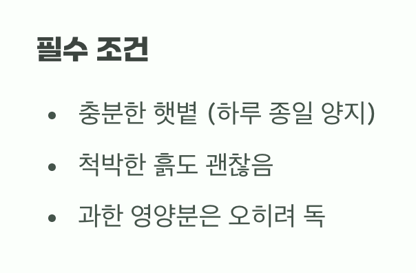 햇볕만 있다면 어디든 좋아요