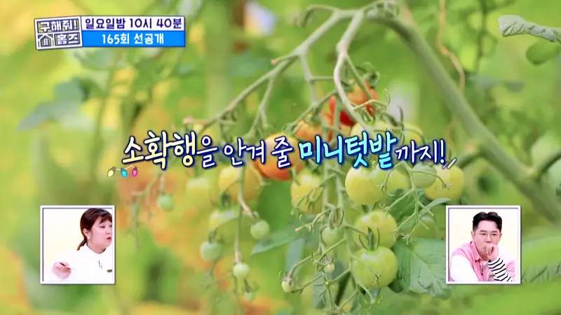 구해줘홈즈 서울시 강남구 자곡동 문을 여시오 하우스 매물 입주보증금 7억9천 월생활비 336만원 조건 소개