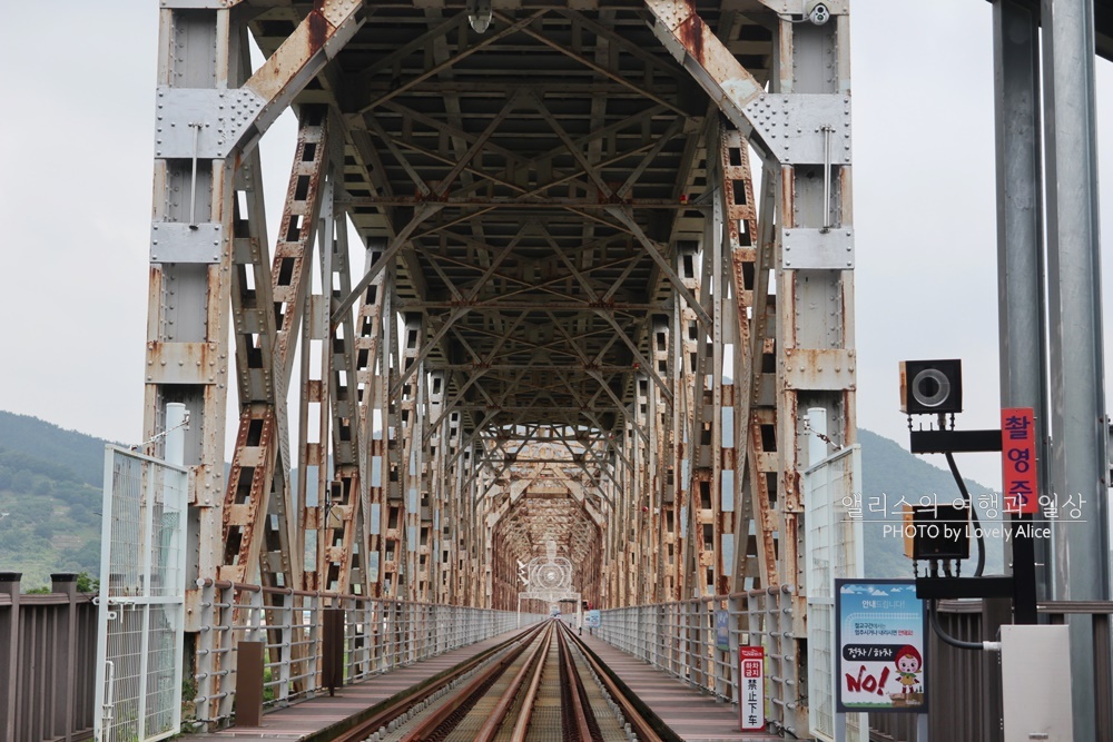 부산 근교 가볼만한곳 당일치기 나들이 BEST10 (기장 포함)
