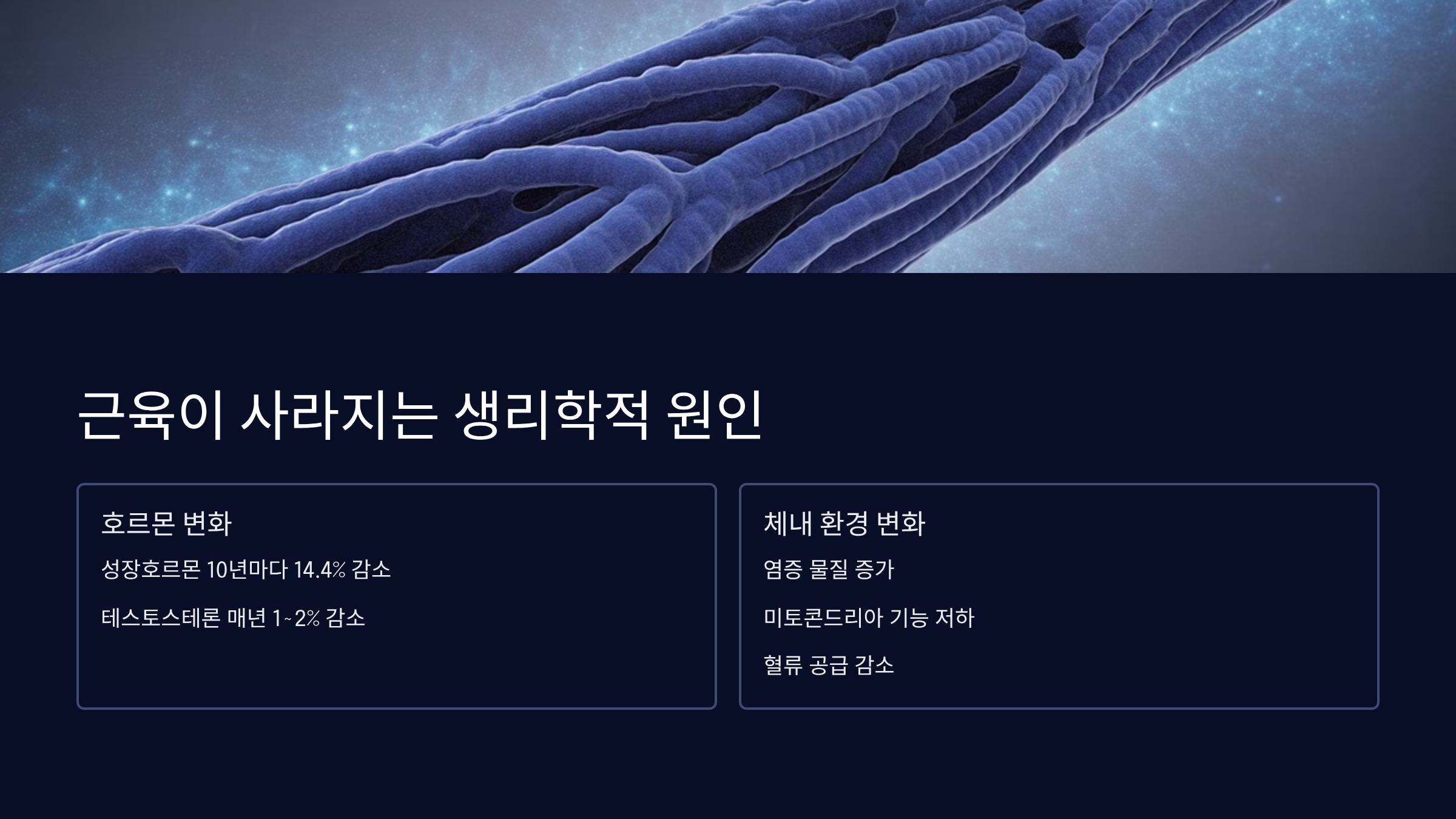 근육이 사라지는 생리학적 원인