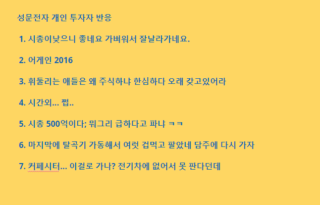 성문전자 개인투자자 반응