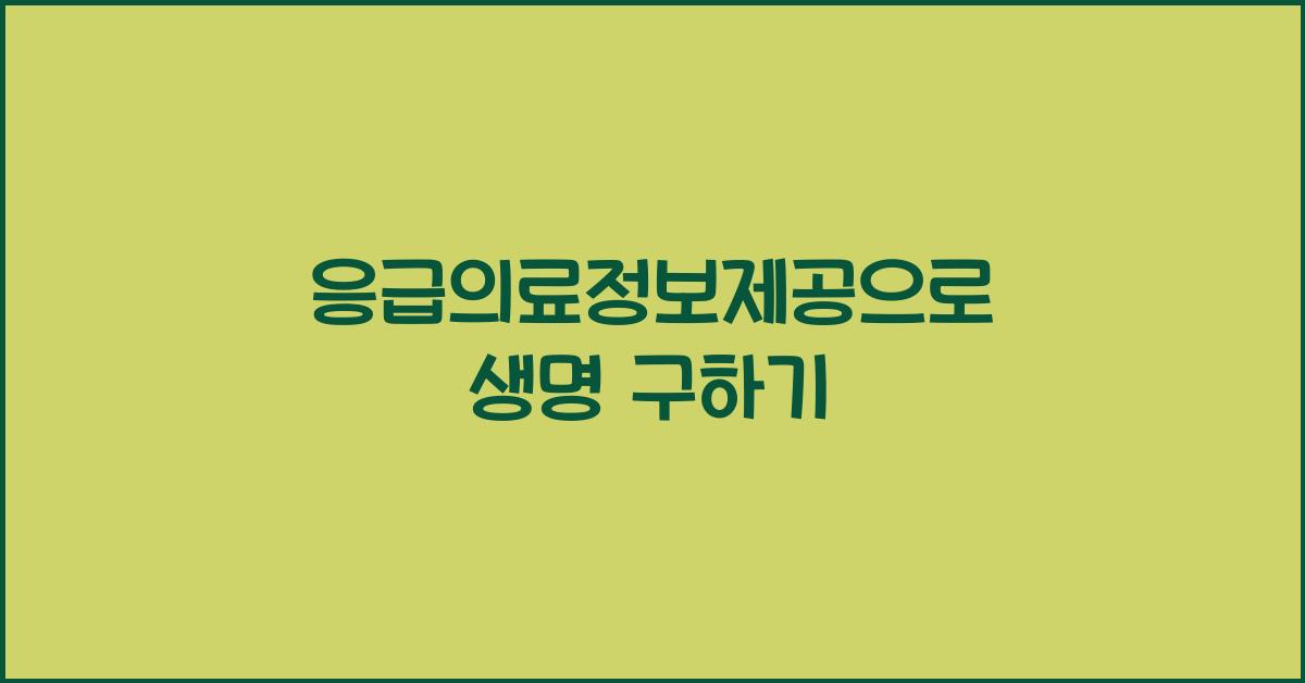 응급의료정보제공
