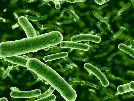 여드름 세균 간염