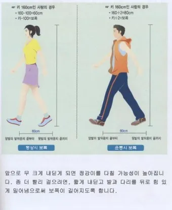 걷기 칼로리 계산기 걸음수 소비 칼로리_12
