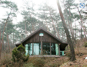 태안 안면도 튤립축제 개화상황