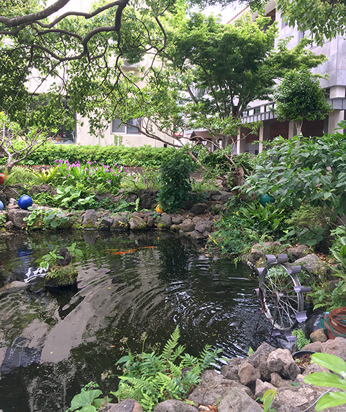 민형의-집-정원2