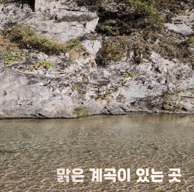 강원도 경기도 계곡 캠핑장 BEST 11