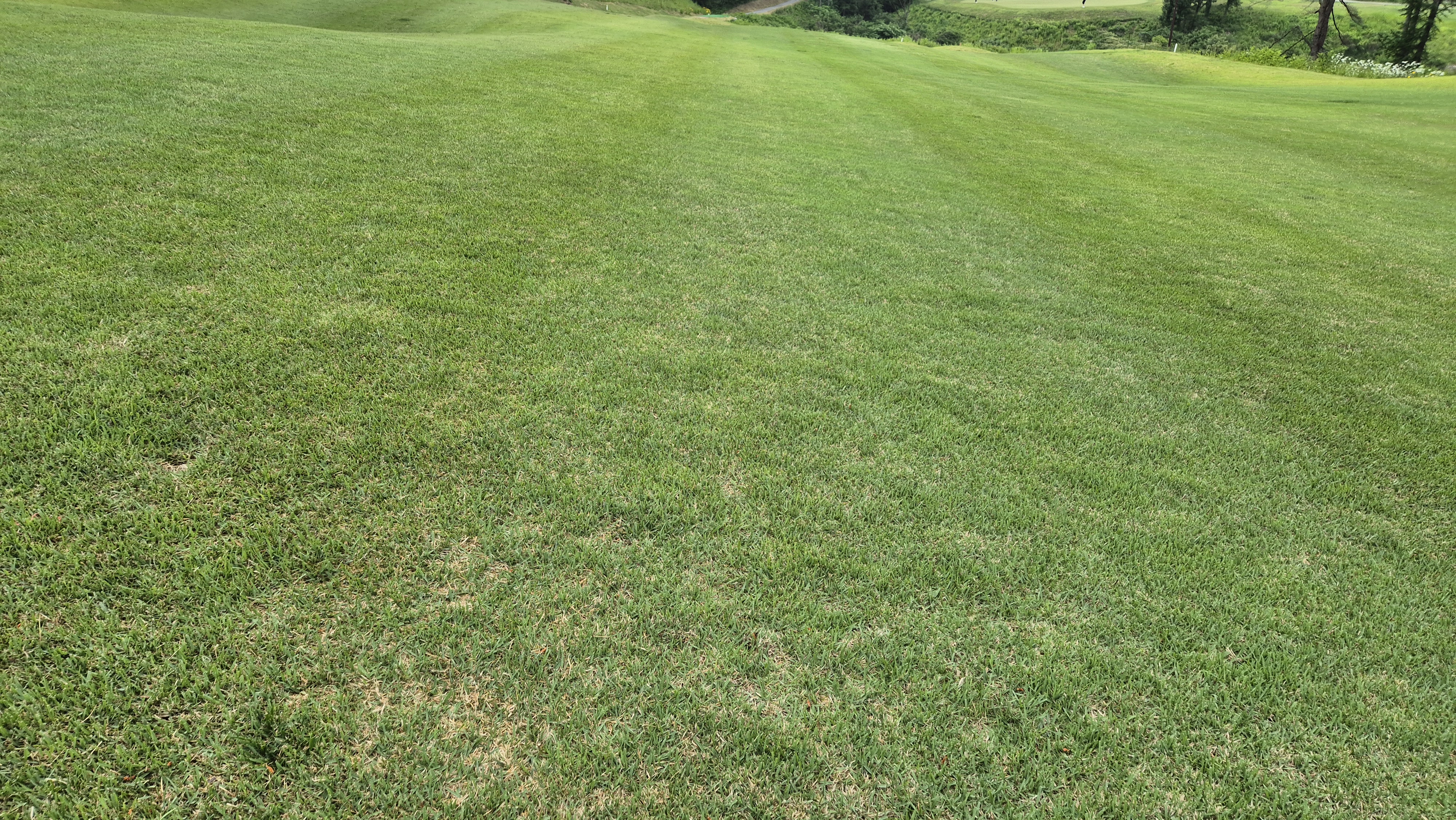 샴발라cc 라운드 후기