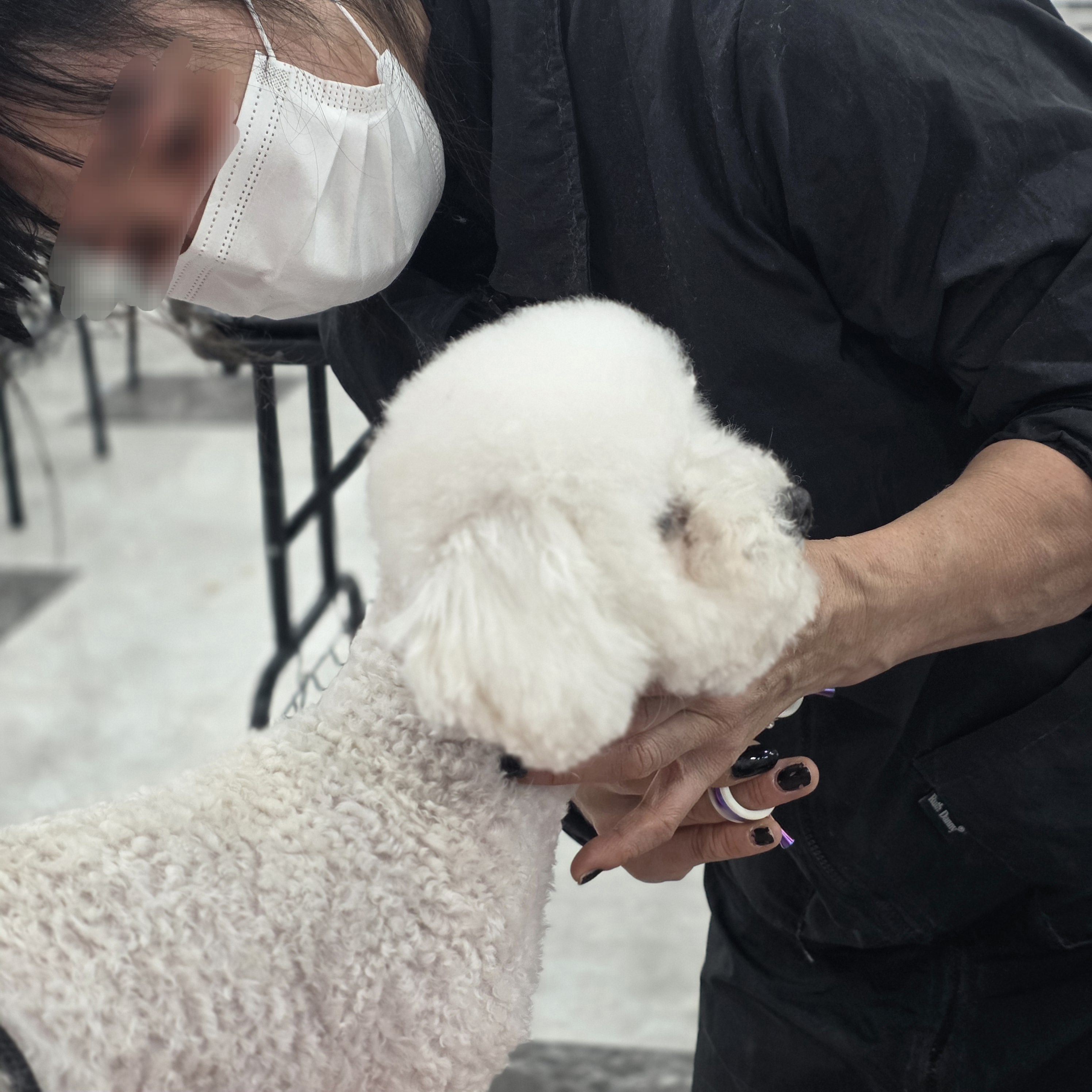 광명애견미용학원