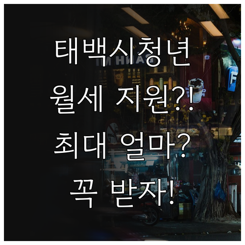 태백시 청년월세 지원 대상과 금액 한..