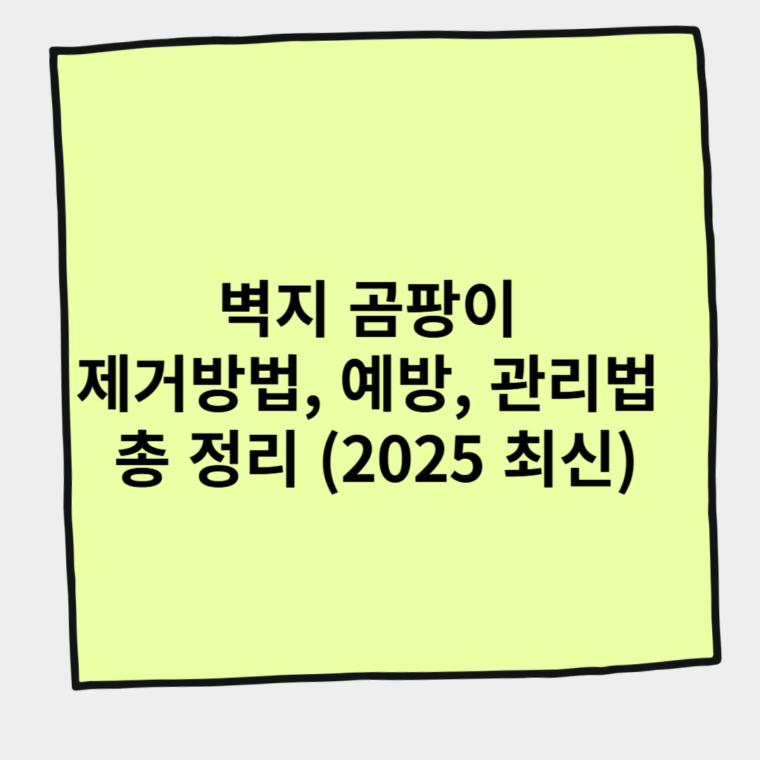 벽지 곰팡이 제거방법, 예방, 관리법 총 정리 (2025 최신)